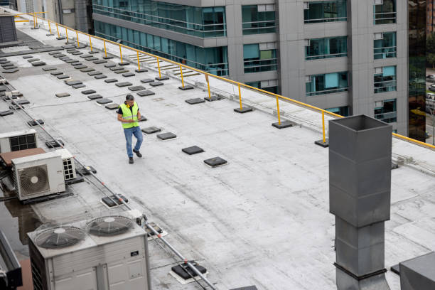Best Cold Roofs  in East Niles, CA