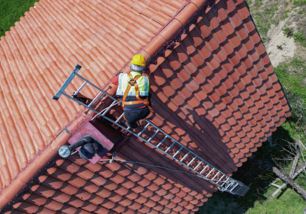 Best Roof Moss and Algae Removal  in East Niles, CA
