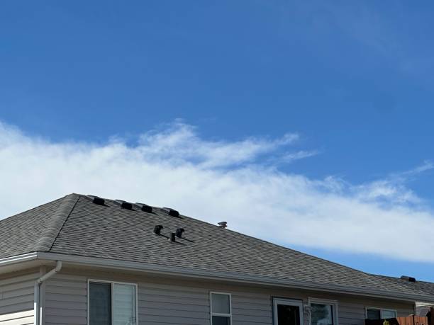Best Skylight Installation and Repair  in East Niles, CA